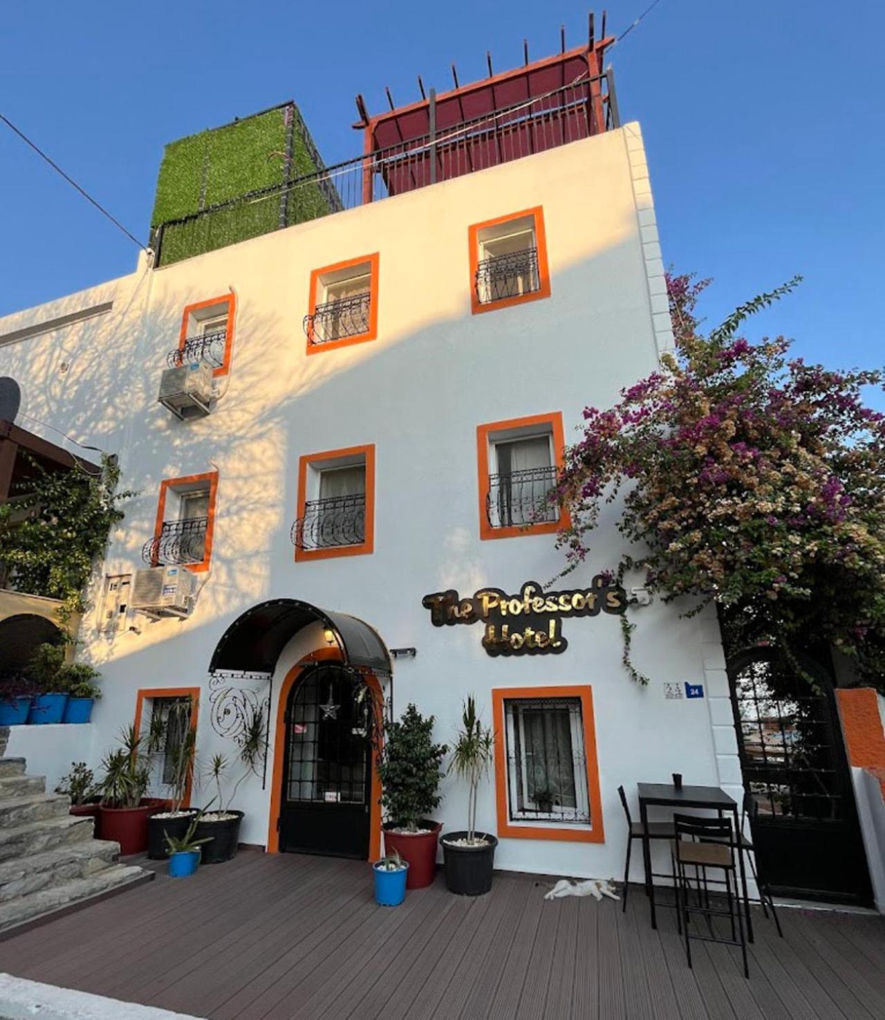 The Professor'S Hotel 博德鲁姆 外观 照片
